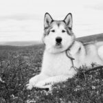 288期开奖结果最新公布,快来看看你中奖了吗? f1x7nd5