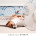 28开奖规律深度解析:如何准确预测中奖号码 t3ox4cs